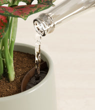 Load image into Gallery viewer, Turquoise stand:all