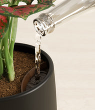 Load image into Gallery viewer, Black stand:all