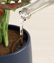 Load image into Gallery viewer, Deep Navy stand:all