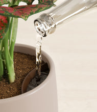 Load image into Gallery viewer, Eternal Gray stand:all