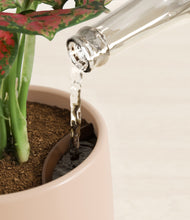 Load image into Gallery viewer, Gentle Pink stand:all