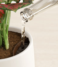 Load image into Gallery viewer, White stand:all