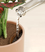 Load image into Gallery viewer, Glossy Pink stand:all