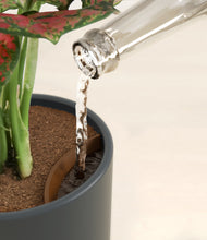 Load image into Gallery viewer, Iron Gray stand:all