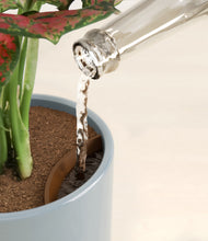 Load image into Gallery viewer, Misty Blue stand:all