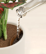 Load image into Gallery viewer, Cotton White stand:all