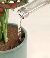 Load image into Gallery viewer, Reactive Aqua stand:all