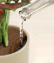 Load image into Gallery viewer, Sage Green stand:all