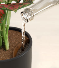 Load image into Gallery viewer, Stone Black stand:all