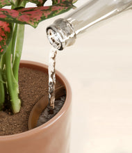 Load image into Gallery viewer, Hammered Peach Pink stand:all