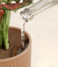 Load image into Gallery viewer, Striped Peach Pink stand:all