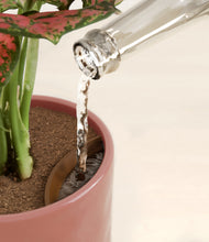 Load image into Gallery viewer, Hammered Rose Pink stand:all