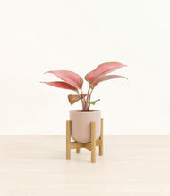 Load image into Gallery viewer, Sandy Pink stand:bamboo

