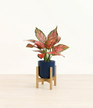 Load image into Gallery viewer, Twilight Blue stand:bamboo