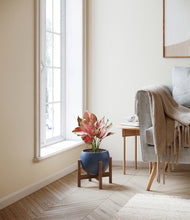 Load image into Gallery viewer, Deep Navy stand:walnut