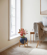 Load image into Gallery viewer, Deep Navy stand:bamboo