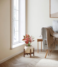 Load image into Gallery viewer, Shiny EggWhite stand:walnut