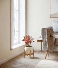 Load image into Gallery viewer, Shiny EggWhite stand:bamboo