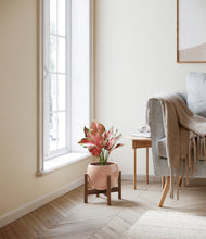 Load image into Gallery viewer, Calm Rose stand:walnut