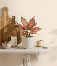 Load image into Gallery viewer, Natural Bamboo