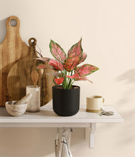 Load image into Gallery viewer, Stone Black