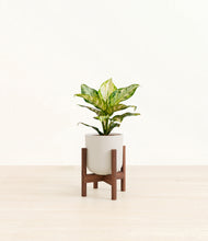 Load image into Gallery viewer, Natural Bamboo stand:dark