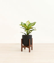 Load image into Gallery viewer, Stone Black stand:dark