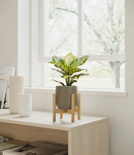 Load image into Gallery viewer, Olive stand:light