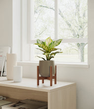 Load image into Gallery viewer, Olive stand:dark
