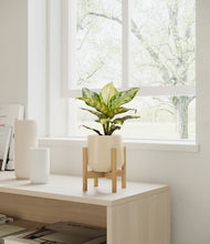 Load image into Gallery viewer, Almond Green stand:light