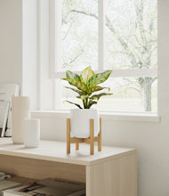 Load image into Gallery viewer, White stand:light