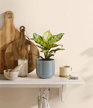 Load image into Gallery viewer, Misty Blue