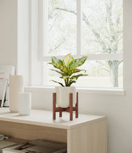 Load image into Gallery viewer, Cotton White stand:dark