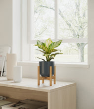Load image into Gallery viewer, Iron Gray stand:light
