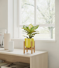 Load image into Gallery viewer, Key Lime Yellow stand:light