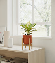 Load image into Gallery viewer, Earth Red stand:light