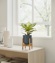 Load image into Gallery viewer, Iron Gray stand:light