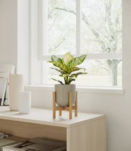 Load image into Gallery viewer, Sage Green stand:light