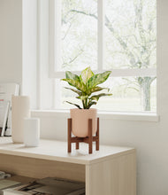 Load image into Gallery viewer, Sandy Pink stand:dark