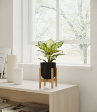 Load image into Gallery viewer, Stone Black stand:light