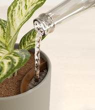 Load image into Gallery viewer, Sage Green stand:all