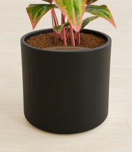 Load image into Gallery viewer, Black stand:all