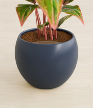 Load image into Gallery viewer, Deep Navy stand:all