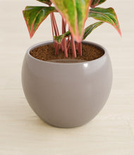 Load image into Gallery viewer, Winter Clouds stand:all