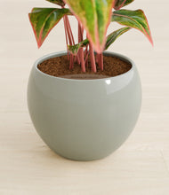 Load image into Gallery viewer, Deep Ocean stand:all