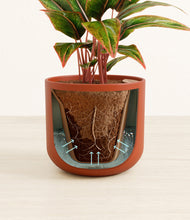 Load image into Gallery viewer, Earth Red