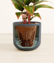 Load image into Gallery viewer, Iron Gray