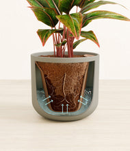 Load image into Gallery viewer, Sage Green