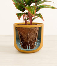 Load image into Gallery viewer, Sunset Orange