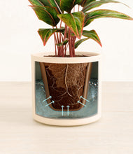 Load image into Gallery viewer, Cream stand:all